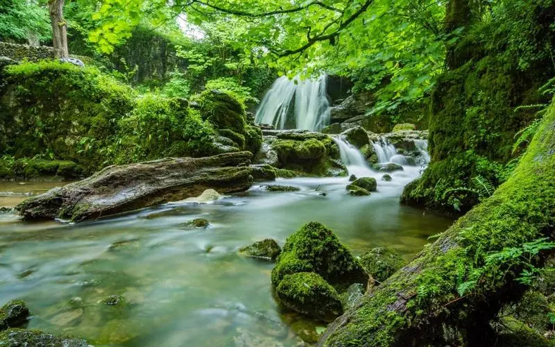 高性能绿色先进